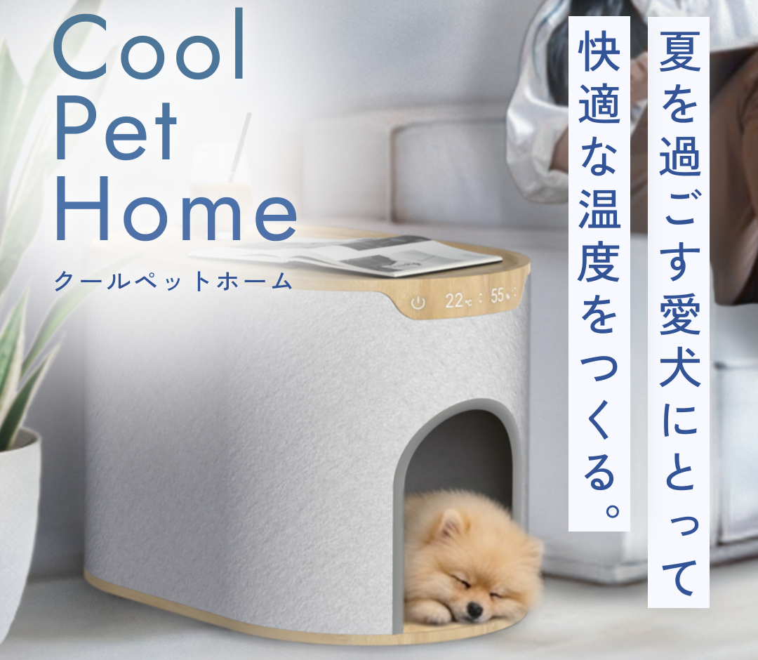 cool pet home